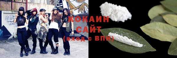 прущие грибы Ивантеевка
