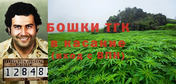 прущие грибы Няндома