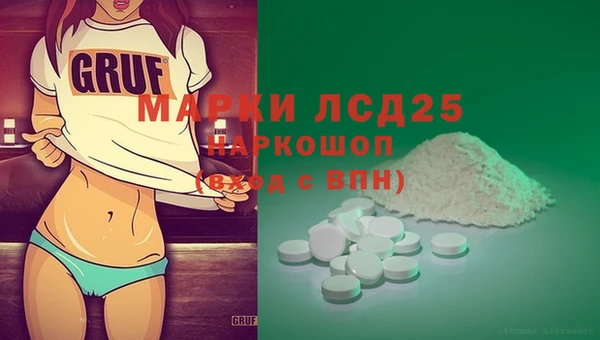 прущие грибы Няндома