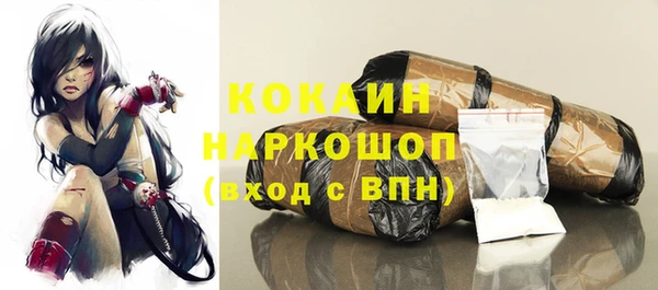 тгк Новодвинск