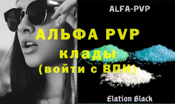 тгк Новодвинск
