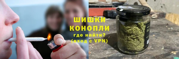 шишки Кадников