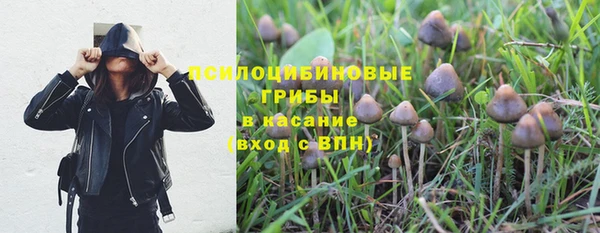 PSILOCYBIN Ельня