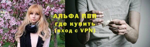 дмт Ивангород